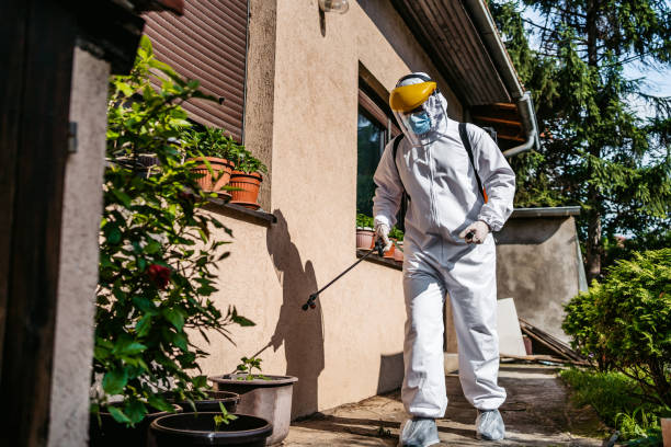 Best Local Pest Control Services  in Sheridan, WY