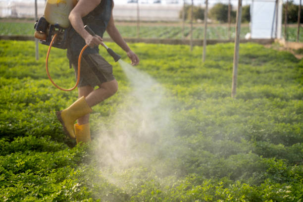 Best Insect Control  in Sheridan, WY