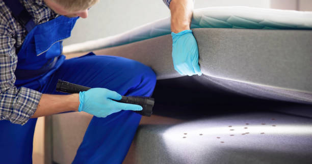 Best Best Pest Control Companies  in Sheridan, WY